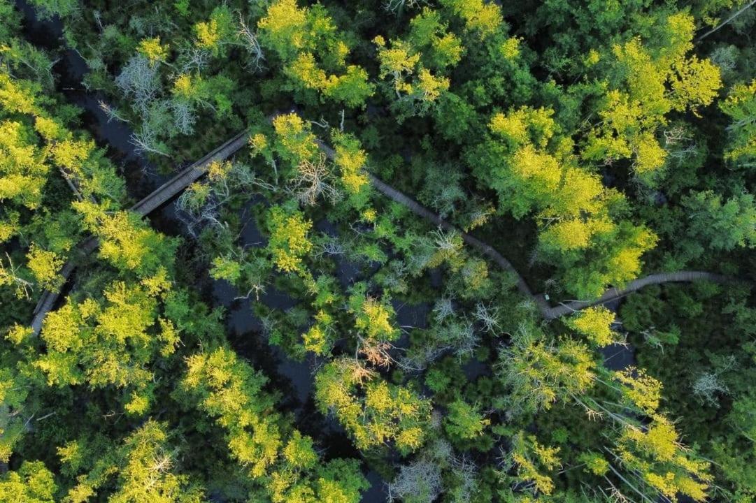 Camping Du Lac De Groléjac Zewnętrze zdjęcie